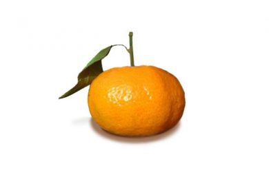 Mandarino tardivo di ciaculli